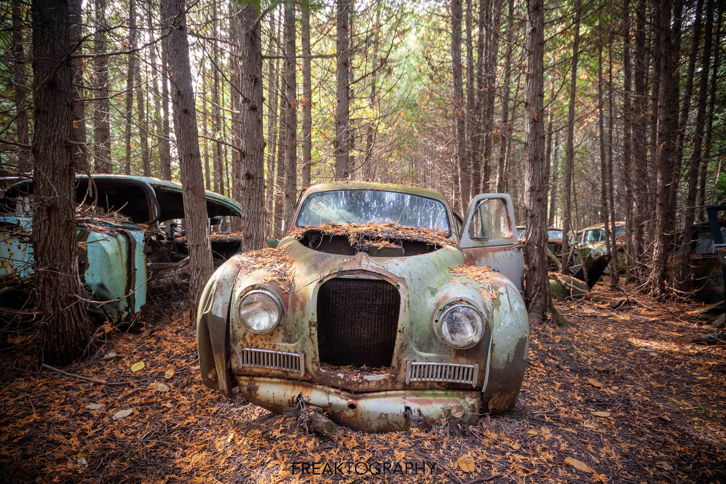 Forgotten Classic – Abandoned Car in the Forest