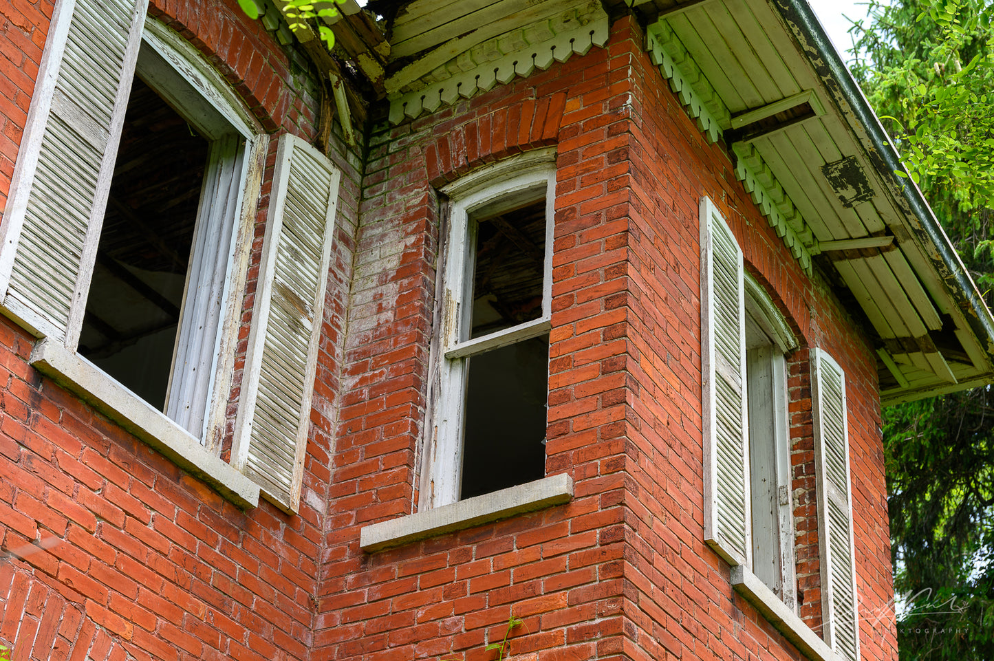Overgrown Window – Abandoned Ontario Home
