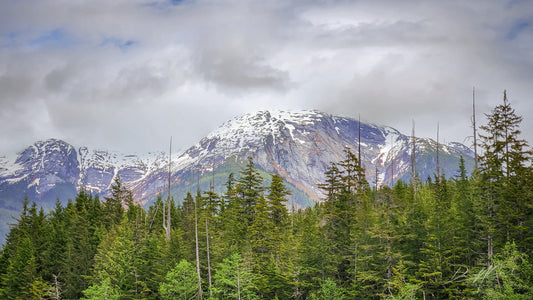 Northern BC Mountains Photography Print